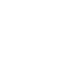 The Hospital's in-game icon.