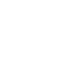 Icon of the monument.