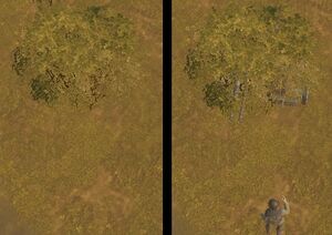 Certains buissons peuvent cacher des Armes de campagne, mais elles sont révélées aux joueurs à moins de 10 mètres.