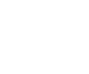 Scout Tanks.png