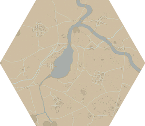 A map of Umbral Wildwood.
